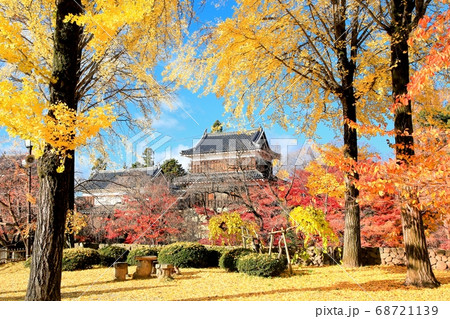 上田城の紅葉 上田城の紅葉 68721139