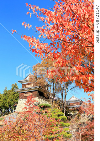 上田城の紅葉の写真素材