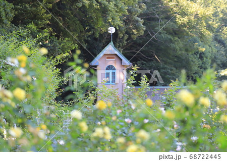 大町自然観察園 バラ園 千葉県市川市大町 大町自然観察園 バラ園 千葉県市川市大町 68722445
