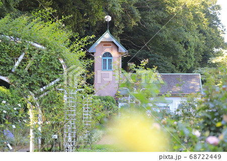大町自然観察園 バラ園 千葉県市川市大町 大町自然観察園 バラ園 千葉県市川市大町 68722449