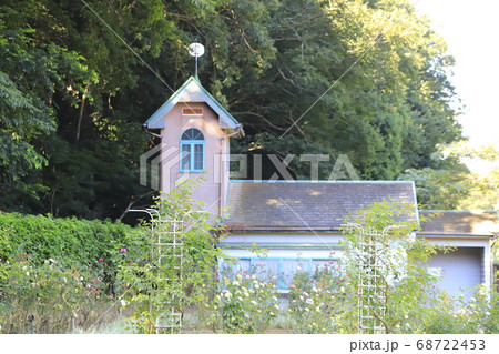 大町自然観察園 バラ園 千葉県市川市大町 大町自然観察園 バラ園 千葉県市川市大町 68722453