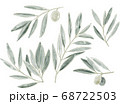 オリーブ 68722503