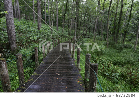 戸隠森林植物園のバリアーフリー木道 68722984