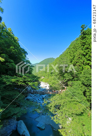 【徳島県】真夏の祖谷のかずら橋 68723147