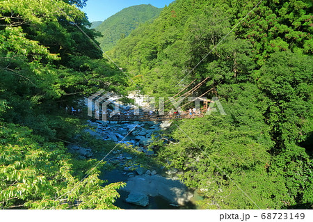 【徳島県】真夏の祖谷のかずら橋 【徳島県】真夏の祖谷のかずら橋 68723149