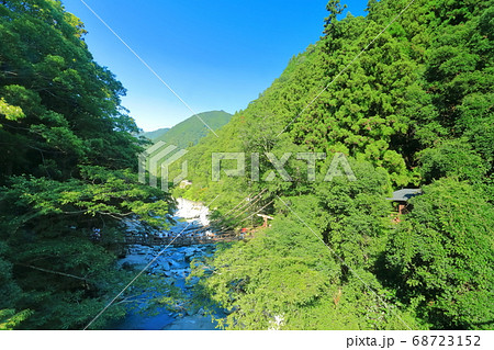 【徳島県】真夏の祖谷のかずら橋 68723152