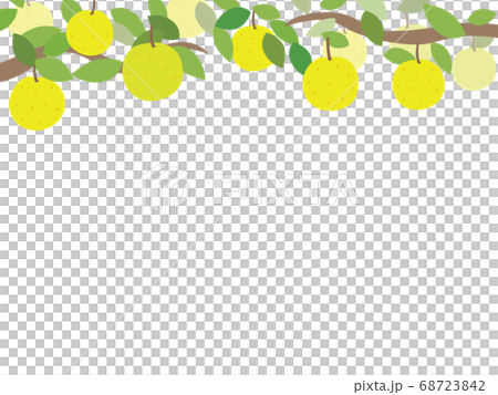 梨のフレームイラスト　上 68723842
