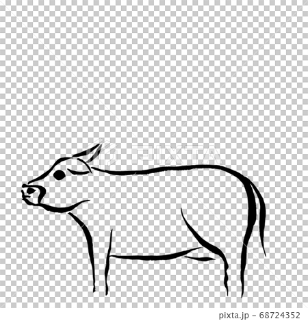 線で描いた牛(墨の手描きイラスト) 線で描いた牛(墨の手描きイラスト) 68724352