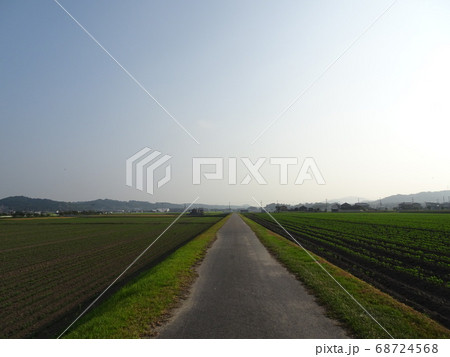 苗を植えたばかりの畑の中を真っ直ぐ伸びる農道と朝のぼんやりした空と遠くに見える農村風景 苗を植えたばかりの畑の中を真っ直ぐ伸びる農道と朝のぼんやりした空と遠くに見える農村風景 68724568