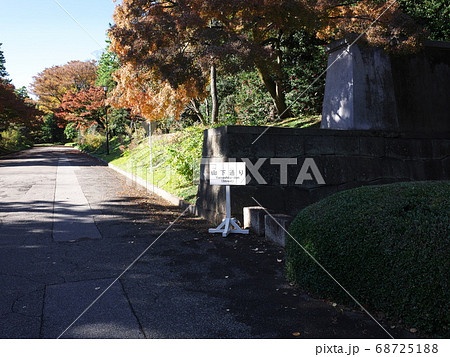 皇居内 山下通り 皇居内 山下通り 68725188
