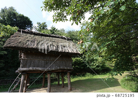 長野県歴史館 科野のムラ 復元古墳時代住居 長野県歴史館 科野のムラ 復元古墳時代住居 68725195