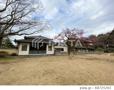 肥後細川庭園 梅の花(東京都) 肥後細川庭園 梅の花(東京都) 68725263