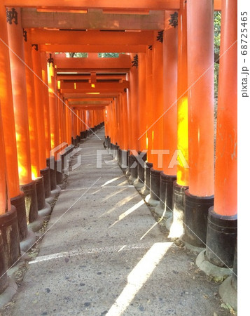 京都で人気の観光名所、伏見稲荷神社の千本鳥居 68725465