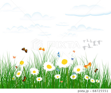 Summer meadow 68725551