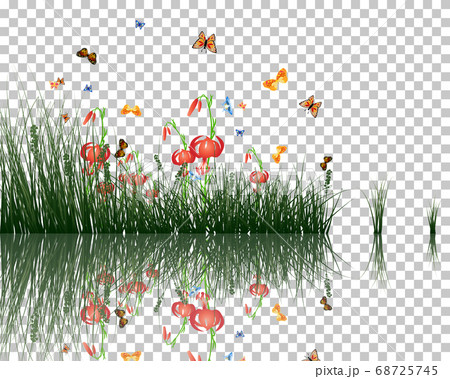 grass with reflections in water 68725745