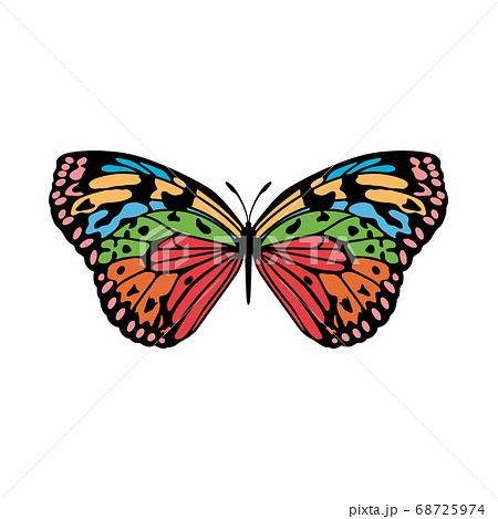 Butterfly Icon Butterfly Icon 68725974