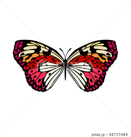 Butterfly Icon Butterfly Icon 68725989