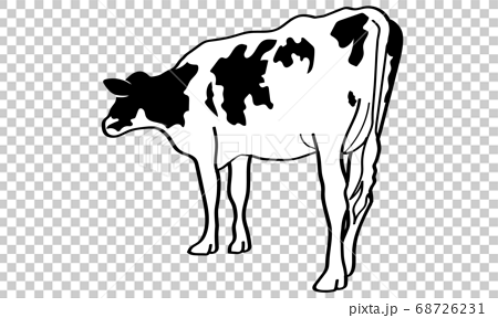 Rear View Of A Standing Cow Stock Illustration