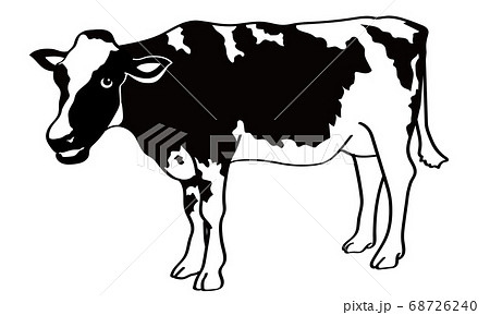 横から見た白黒の牛の立ち姿 68726240