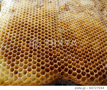 Background hexagon texture, wax honeycomb from a Background hexagon texture, wax honeycomb from a 68727084