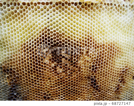 Background hexagon texture, wax honeycomb from a 68727147