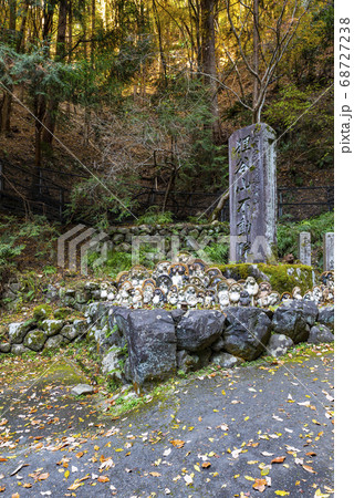 京都市左京区 狸谷山不動院 鳥居の前に並ぶ狸たち 京都市左京区 狸谷山不動院 鳥居の前に並ぶ狸たち 68727238