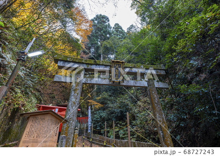 京都市左京区　狸谷山不動院　参道の鳥居 68727243