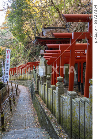 京都市左京区 狸谷山不動院 参道の鳥居 京都市左京区 狸谷山不動院 参道の鳥居 68727304