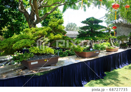 PUTRAJAYA, MALAYSIA -MAY 30, 2018: Bonsai tree display for the public in Royal Floria Putrajaya garden in Putrajaya, Malaysia. Available in various species and shapes, according to the creativity of t 68727735