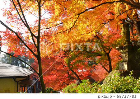 紅葉に包まれた大興善寺 紅葉に包まれた大興善寺 68727783
