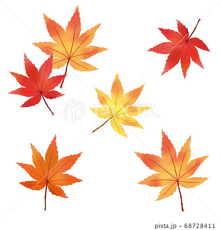 水彩風の紅葉のセットイラストのイラスト素材