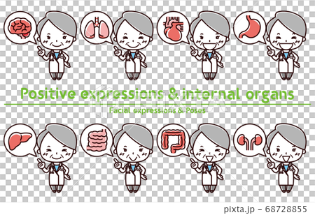 Positive expression / internal organs / female doctor Positive expression / internal organs / female doctor 68728855