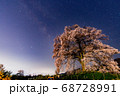 桜と天の川 68728991