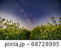 菜の花畑と天の川 68728995