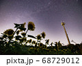 ひまわり畑と天の川 68729012