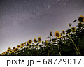 ひまわり畑と星空 68729017