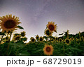 ひまわり畑と星空 68729019