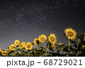 ひまわり畑と天の川 68729021