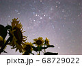 煌めく夜空とひまわり 68729022