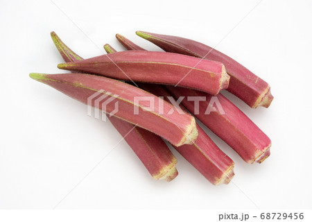 紅オクラ 68729456