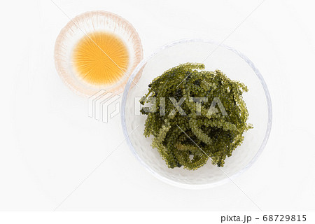 沖縄の食材 海ぶどう 沖縄の食材 海ぶどう 68729815