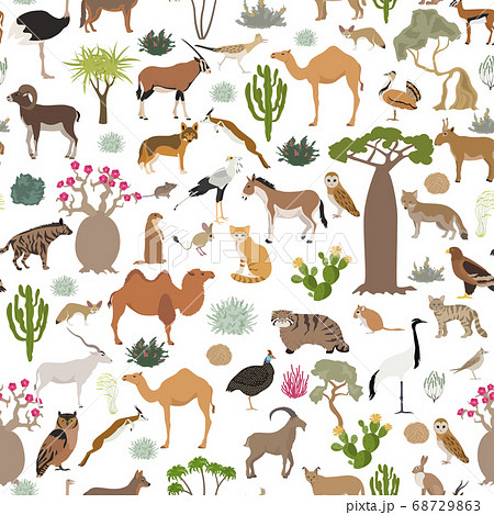 Desert biome, xeric shrubland biome, natural 68729863