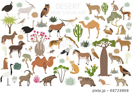 Desert biome, xeric shrubland natural region Desert biome, xeric shrubland natural region 68729868