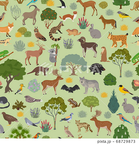 Mediterranean vegetation biome, natural region 68729873