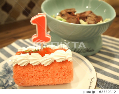 犬の1歳の誕生日ケーキと食事の写真素材