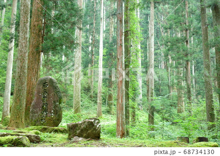 矢納ヶ淵　岐阜県美並 68734130