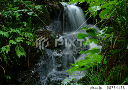 矢納ヶ淵　岐阜県美並 68734138