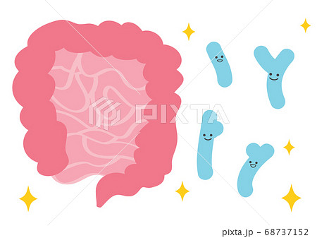 腸とビフィズス菌のイラストのイラスト素材