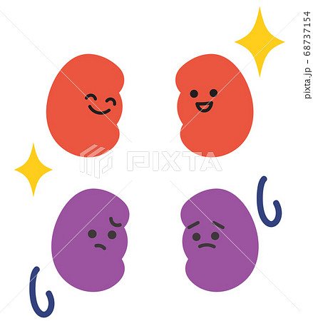 健康な腎臓と不健康な腎臓のイラストのイラスト素材