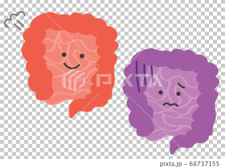 Illustration of healthy and unhealthy intestines 68737155